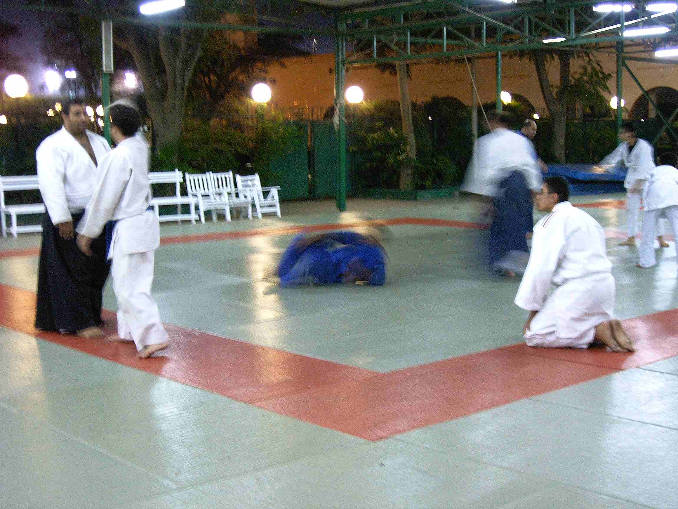 aikido-esc